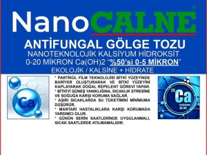 Nanocalne: Bitkileriniz İçin Yenilikçi Bir Kalkan
