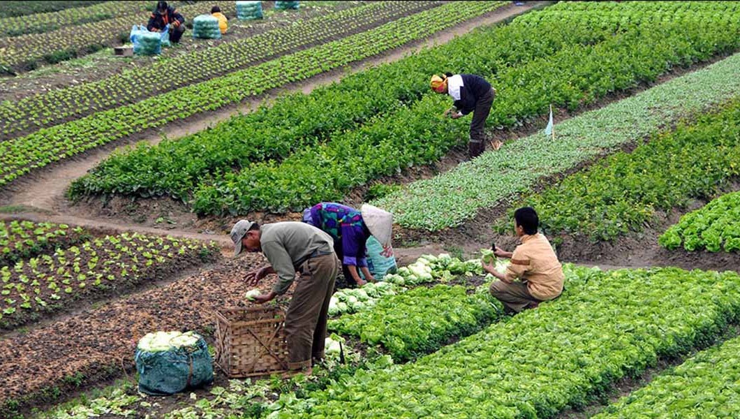 Sürdürülebilir Tarım İçin Öneriler