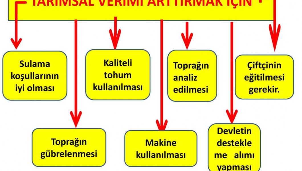 Tarımda Verimi Artırma Yolları