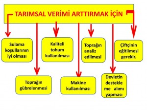 Tarımda Verimi Artırma Yolları