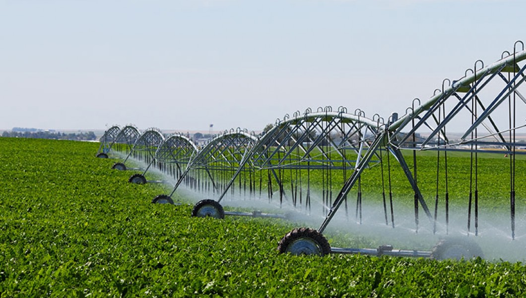 Ziraat Bankası  (Düşük Faizli) Tarım Kredileri