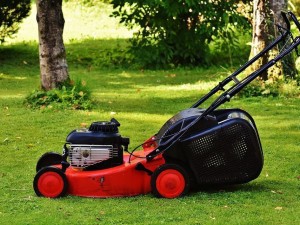Çim Biçme Makinesi Alırken Nelere Dikkat Etmeliyim