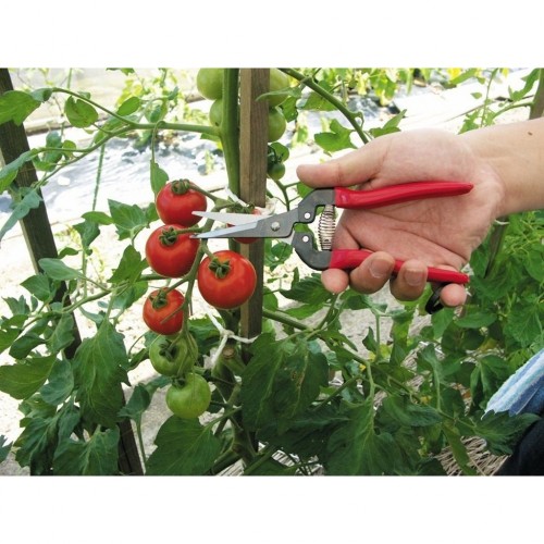 Ars 300L Meyve Toplama Makası 190 mm