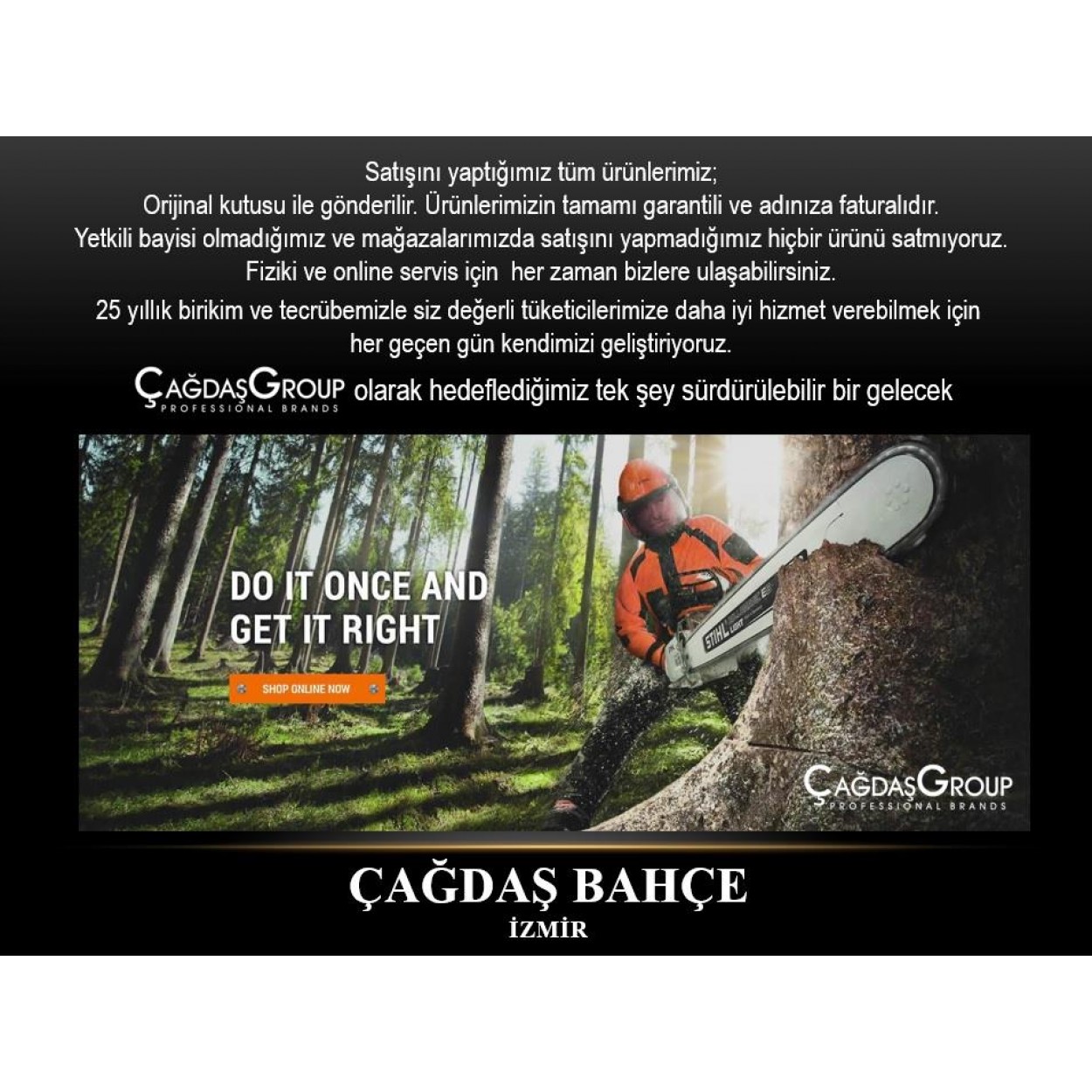 Echo CS590 Profesyonel Kesim - Motorlu Testere 4.1 hp