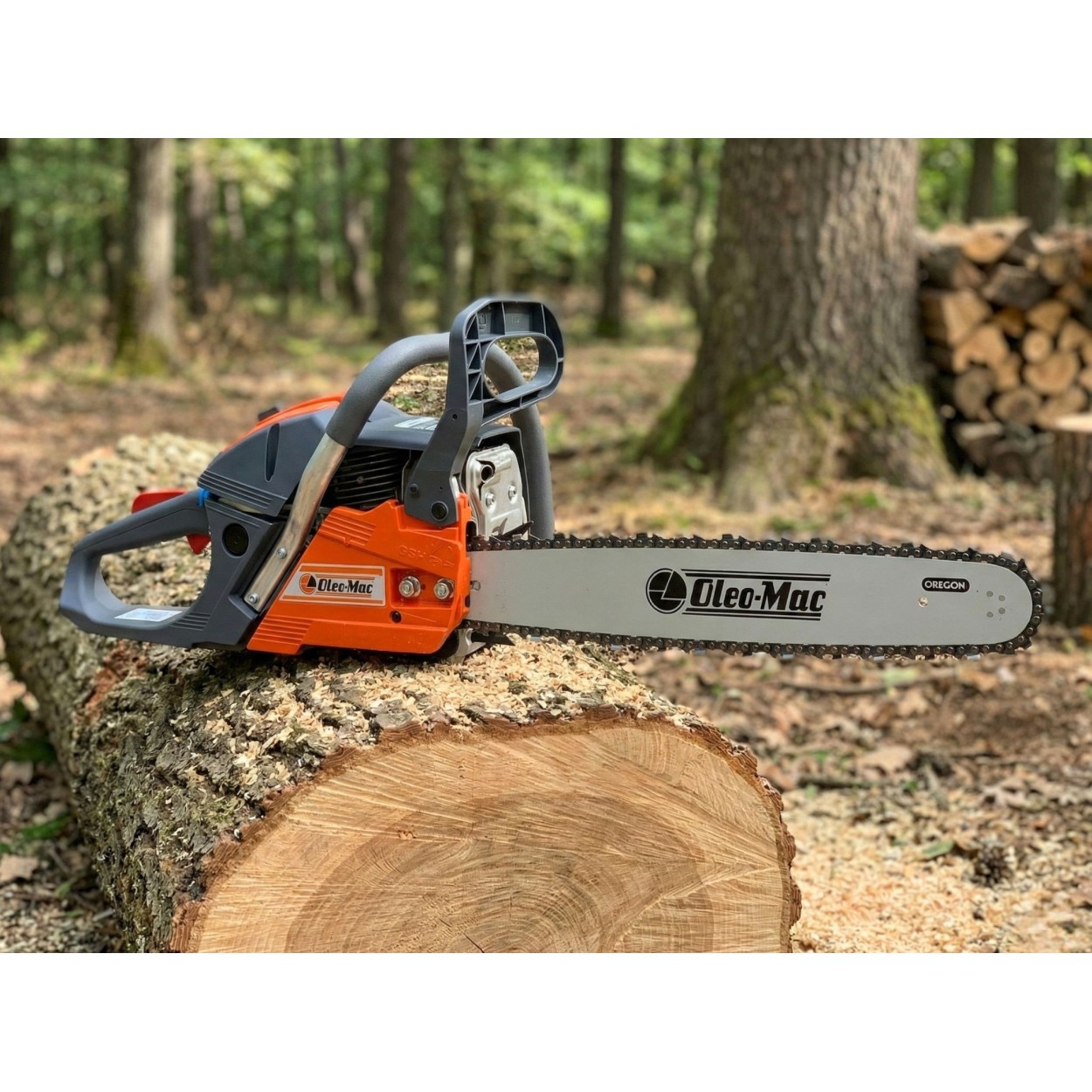 OLEOMAC GSH560 Benzin Motorlu Testere 3.5 HP