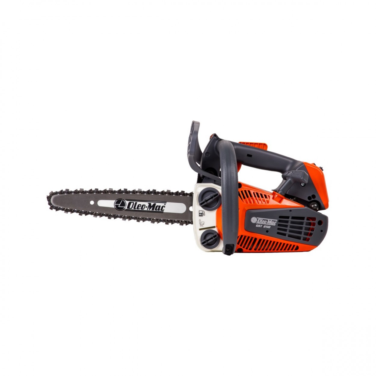 OLEOMAC GST250 İNCE PALA BENZİN MOTORLU BUDAMA TESTERESİ 1.3 HP OLEOMAC GST250 İNCE PALA BENZİN MOTORLU BUDAMA TESTERESİ 1.3 HP