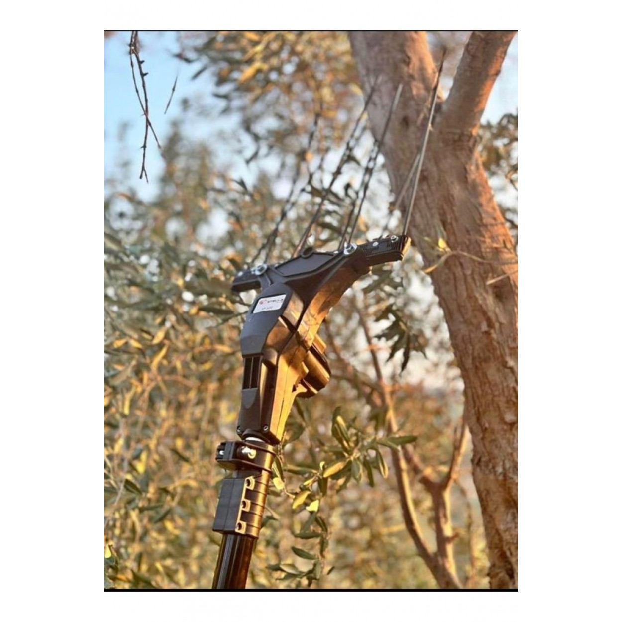 Stella Plus Sp-600 Devir Ayarlı Akülü Zeytin Silkme Hasat Makinesi 2026 Yeni Dizayn